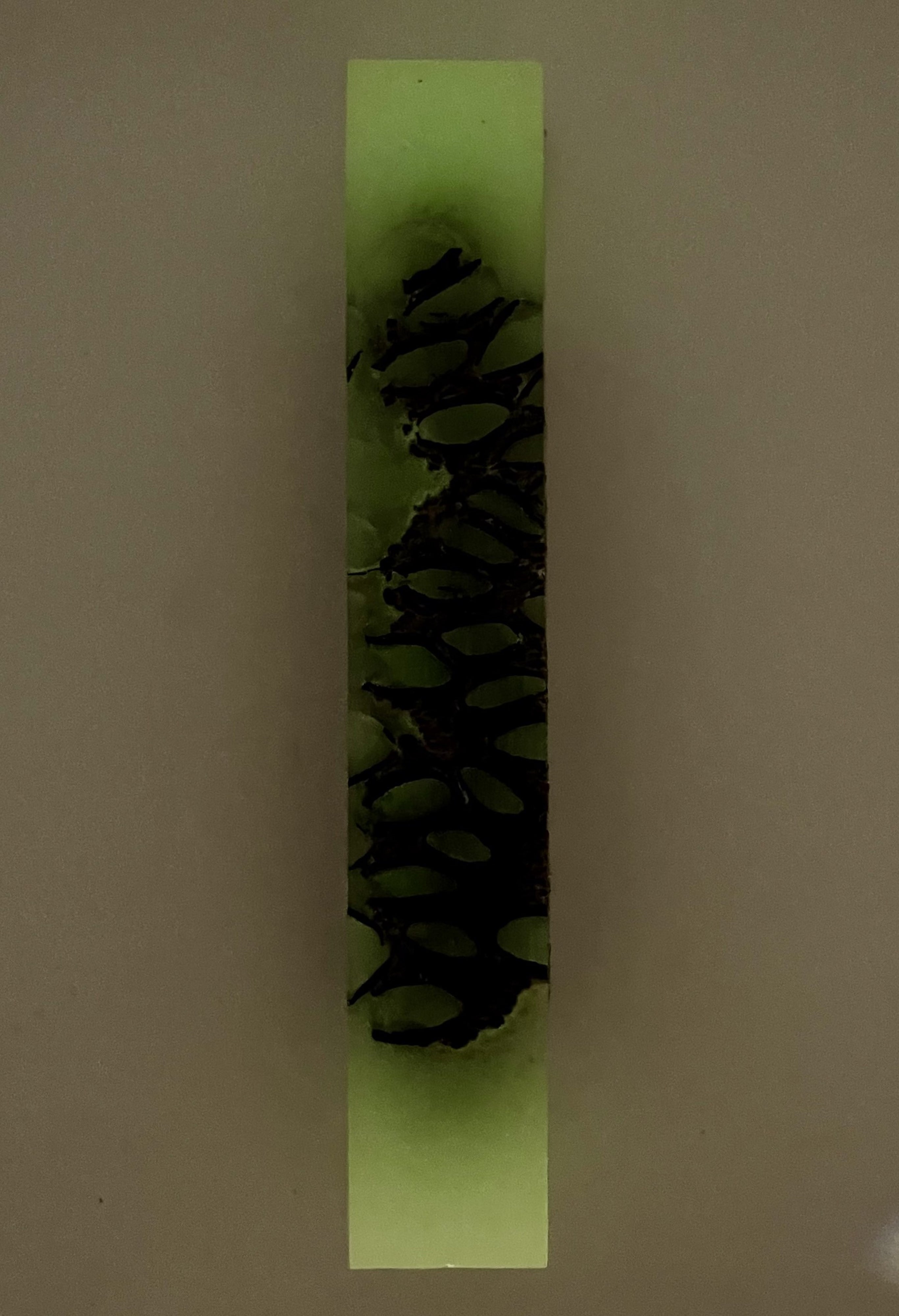 Sierra Ballpoint Banksia Pens