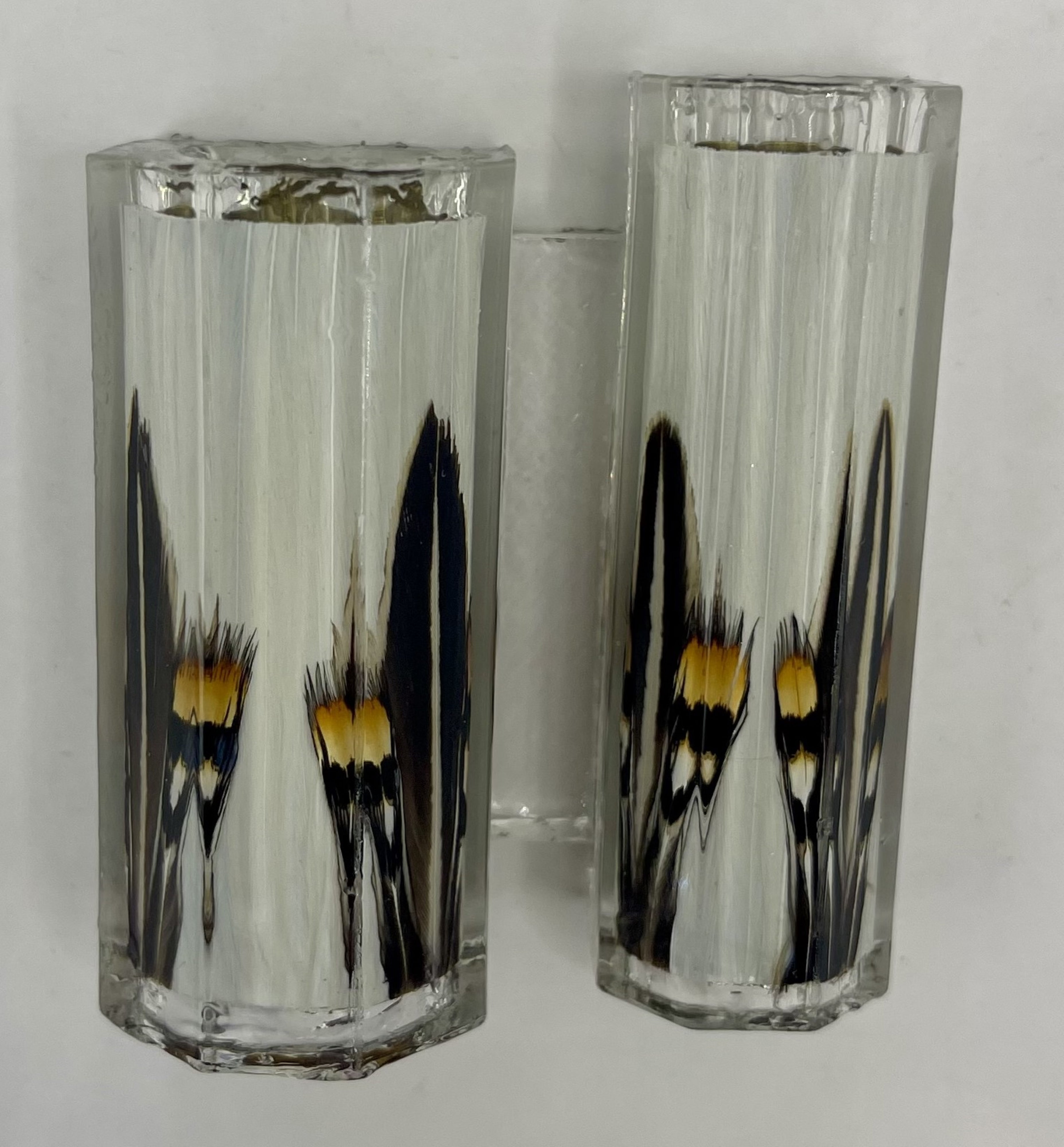 Limited Edition Majestic Fountain Fantastic Feathers Pens