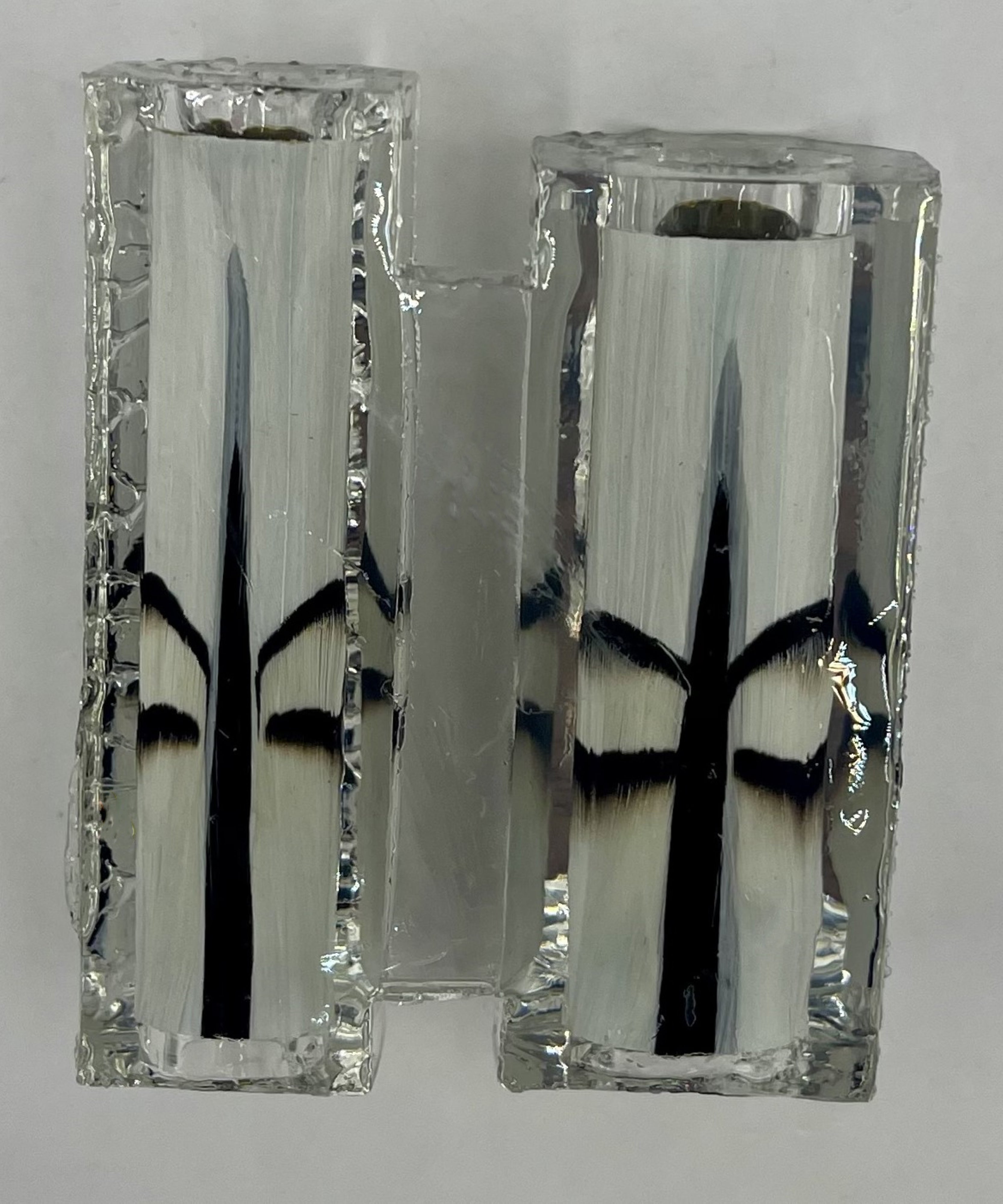 Limited Edition Majestic Fountain Fantastic Feathers Pens