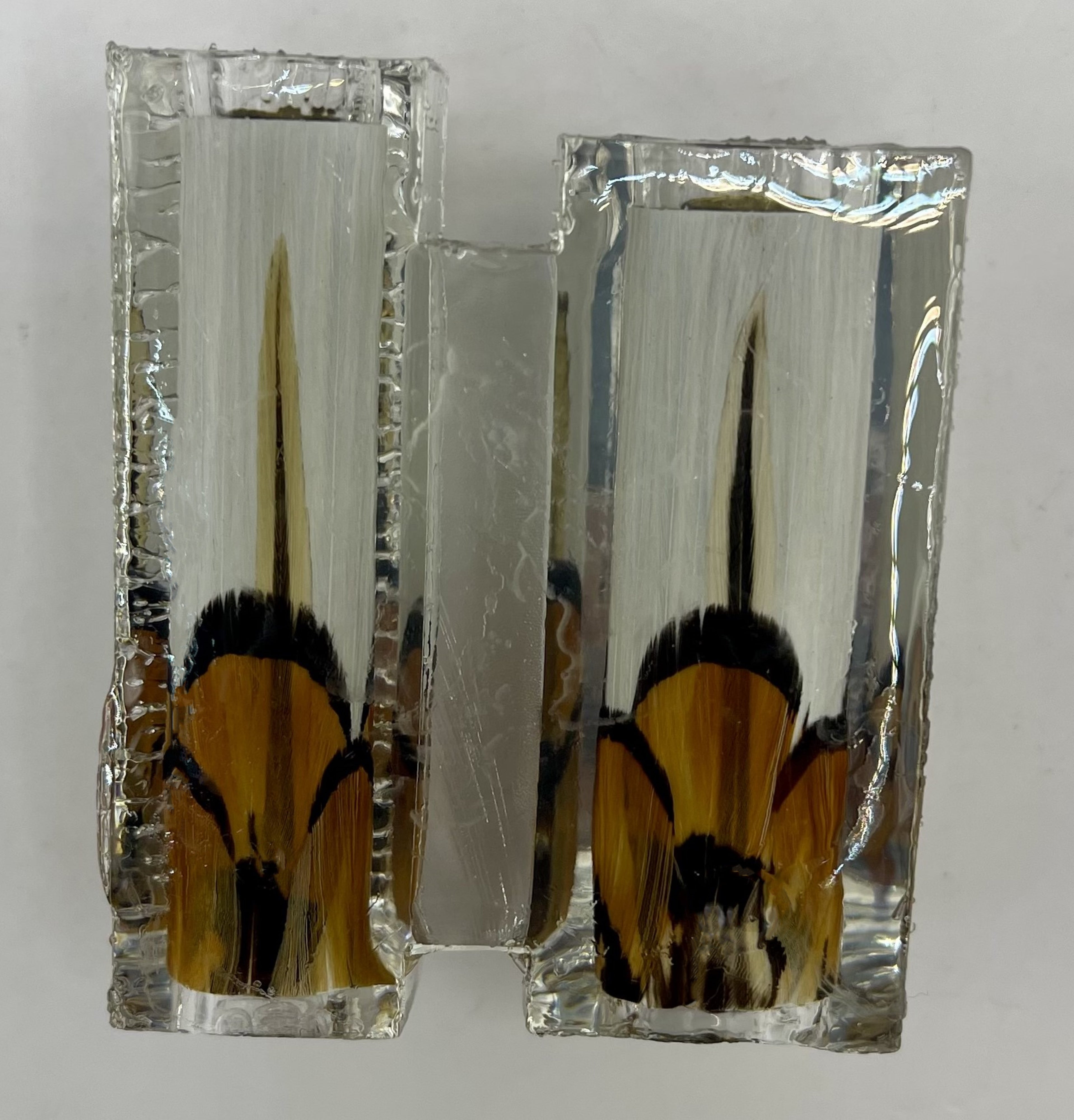 Limited Edition Majestic Fountain Fantastic Feathers Pens