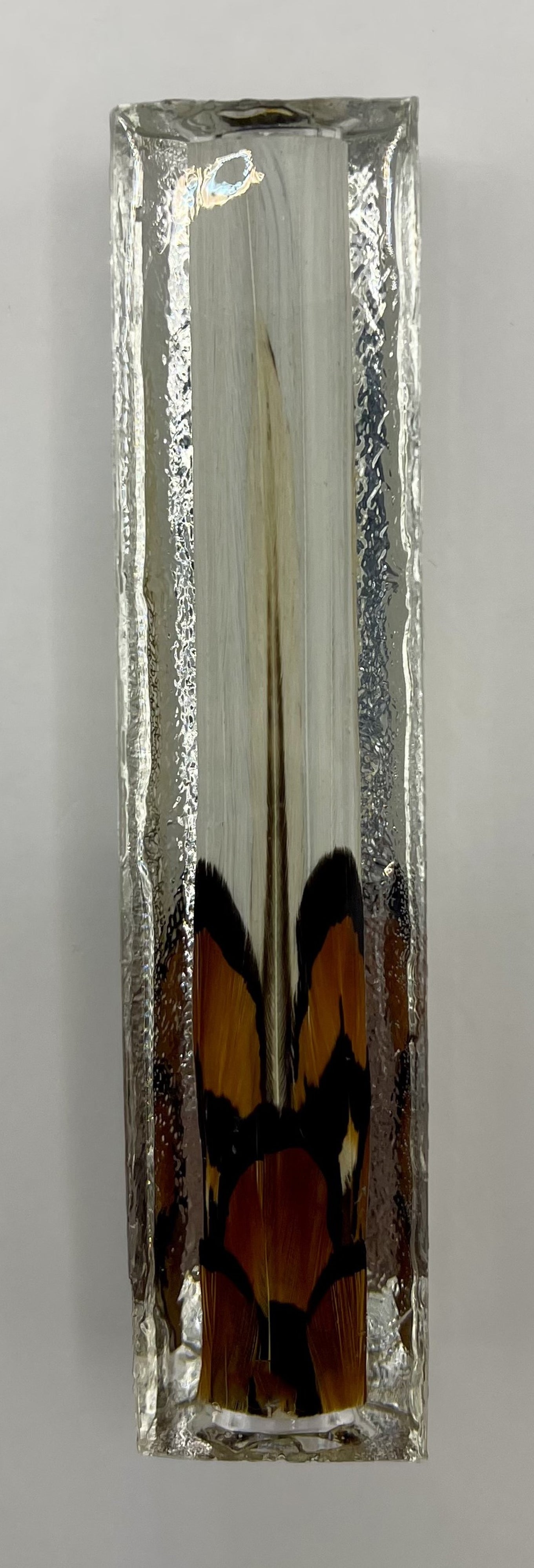 Limited Edition Com Rollerball Postable Fantastic Feathers Pens