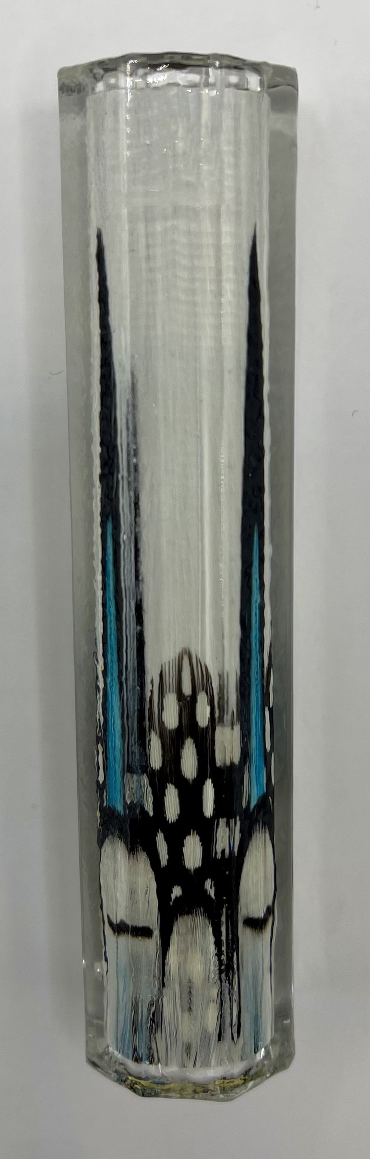 Limited Edition Com Rollerball Postable Fantastic Feathers Pens