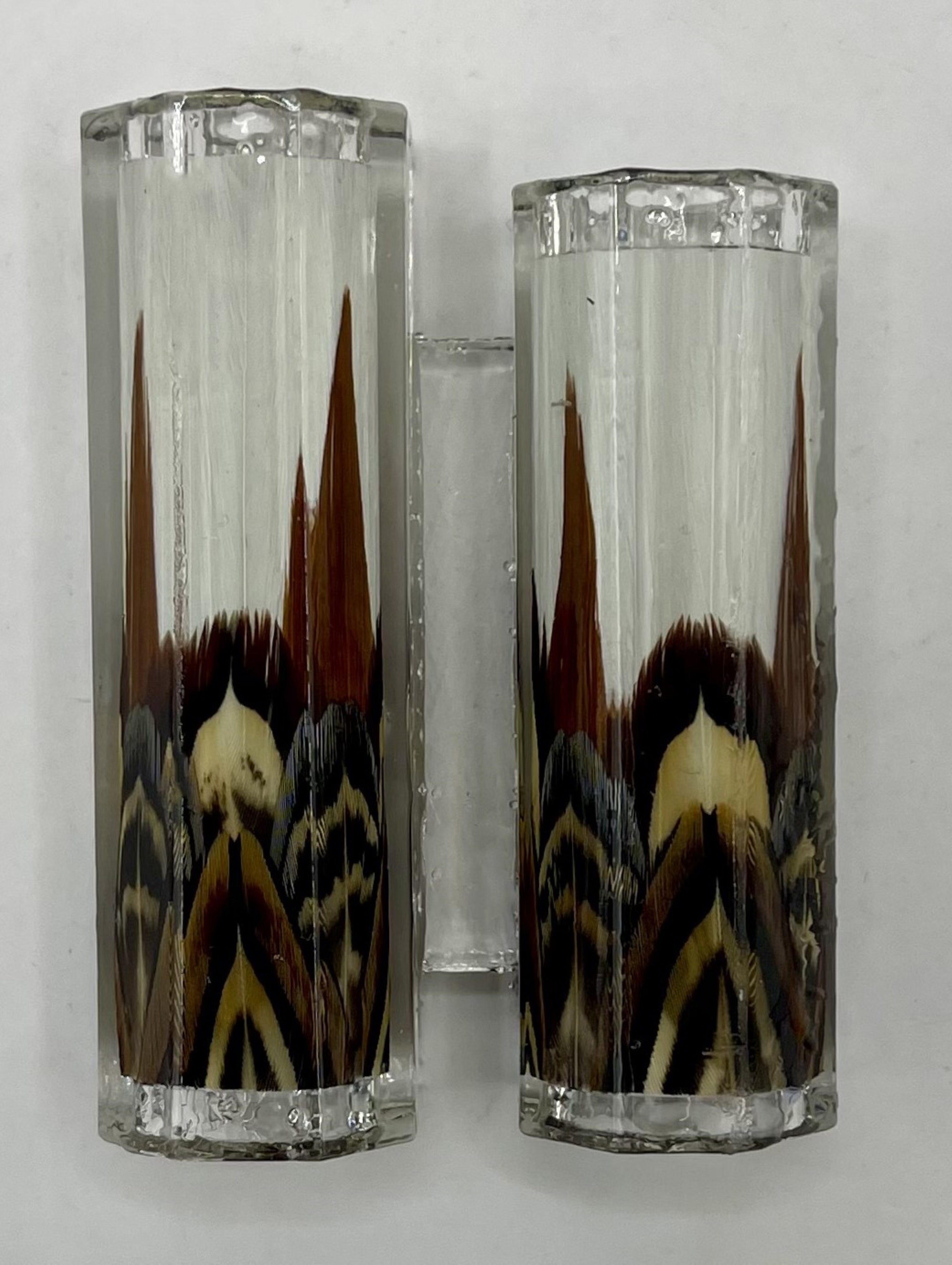 Limited Edition Jr Statesman II Fountain Fantastic Feathers Pens