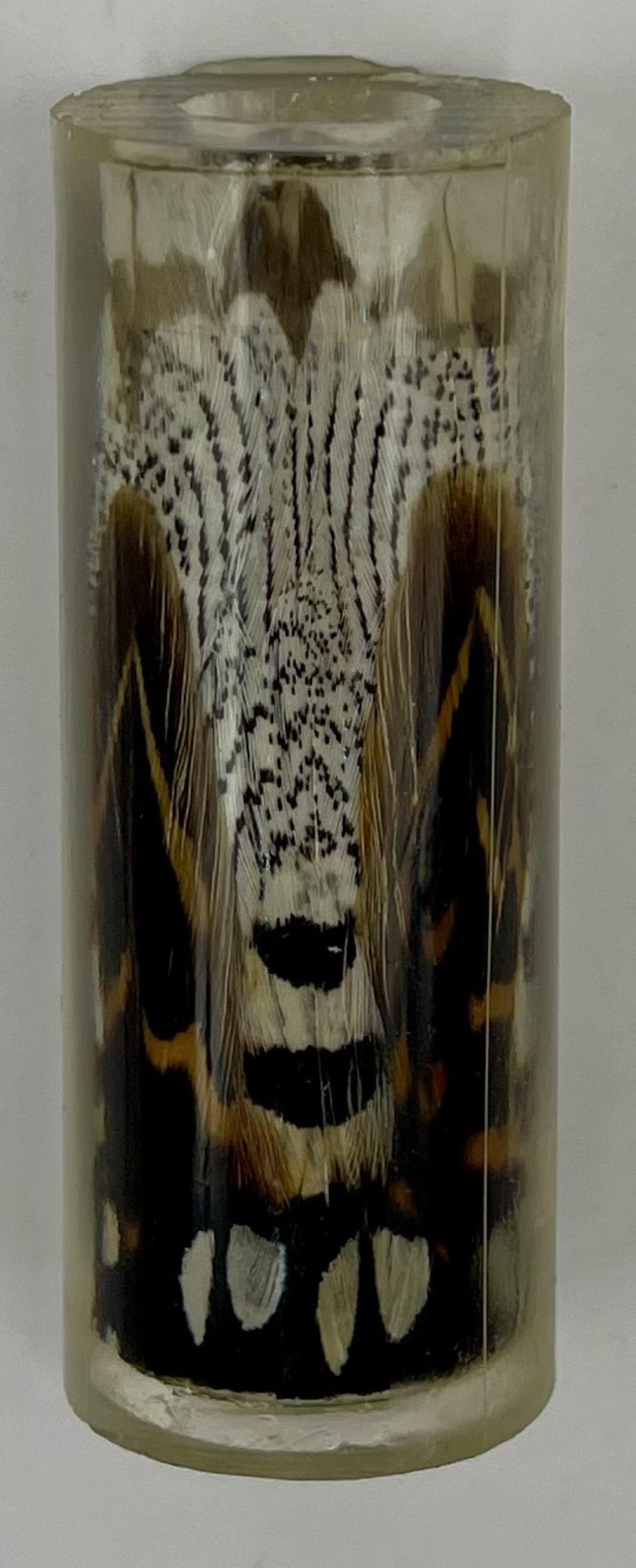 Limited Edition Majestic Sierra Fantastic Feathers Pens