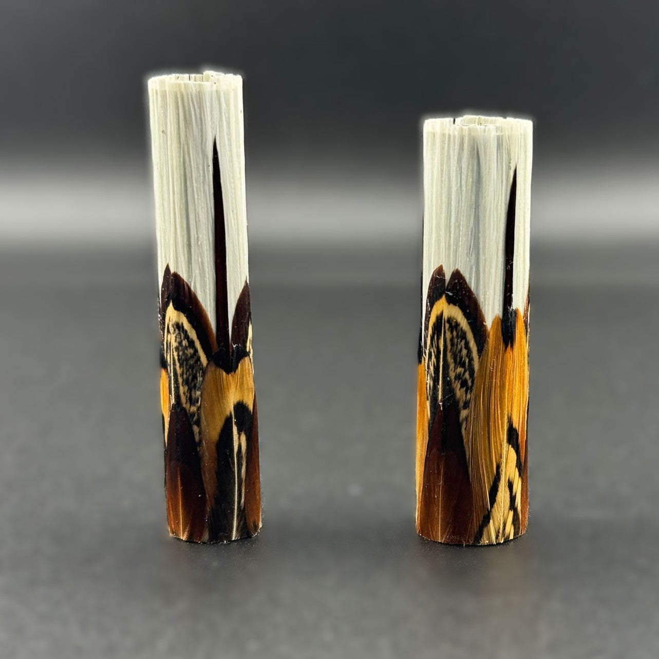 Jr Aaron Feathers Fountain Pens